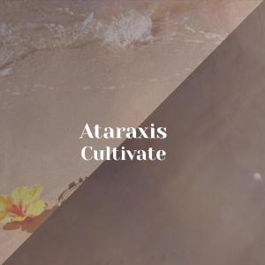 Album Ataraxis Cultivate from Various