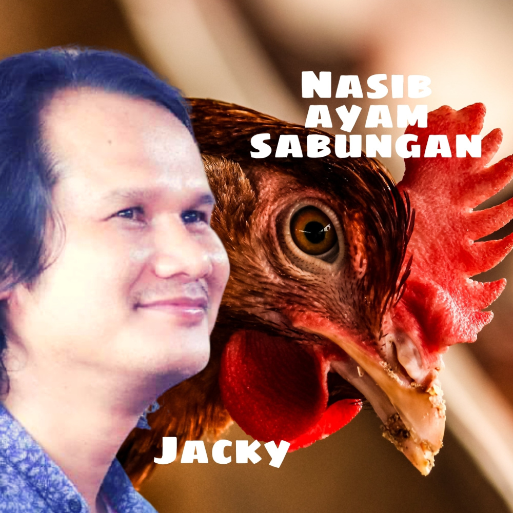 Nasib Ayam Sabungan