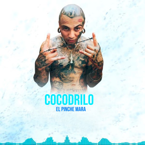 Listen to Cocodrilo (Explicit) song with lyrics from El Pinche Mara