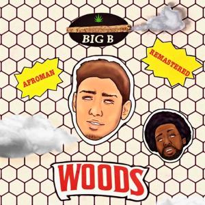 Afroman的專輯Woods (feat. Afroman) (Explicit)