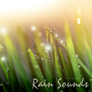 อัลบัม Rain Sounds ศิลปิน Calmsound