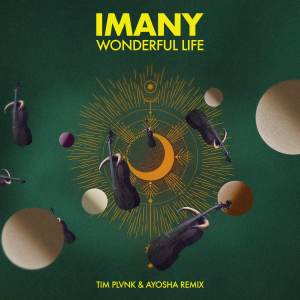 Album Wonderful Life (Tim Plvnk & Ayosha Remix) from Imany