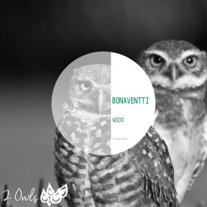 ดาวน์โหลดและฟังเพลง I Dont See The Day พร้อมเนื้อเพลงจาก Bonaventti