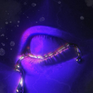 Listen to Wenn Sie Ständig Nur Schreien song with lyrics from SlimG