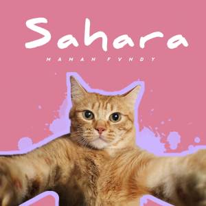 Listen to Sahara song with lyrics from Maman Fvndy