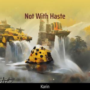 karin的專輯Not with Haste