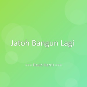 Album Jatoh Bangun Lagi from David Harris