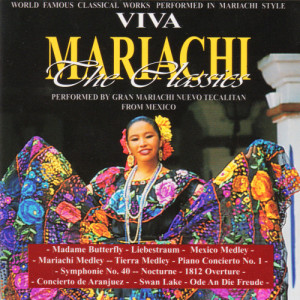 ดาวน์โหลดและฟังเพลง Symphonie No 40 (Mozart) พร้อมเนื้อเพลงจาก Gran Mariachi Nuevo Tecalitan