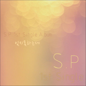 收聽에스피(S.P)的無法忘記(Inst.)歌詞歌曲