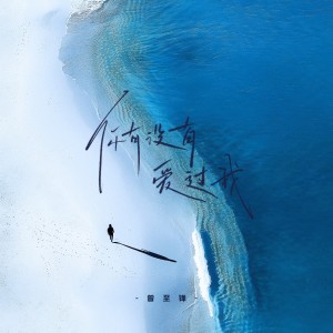Album 你有没有爱过我 from 