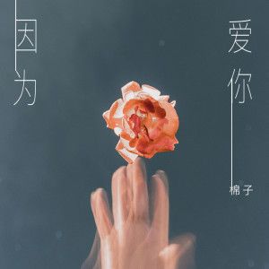 Listen to 因为爱你 song with lyrics from 棉子