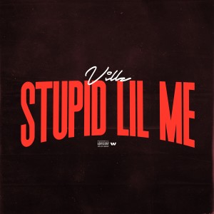 Villz的專輯Stupid Lil Me (Explicit)