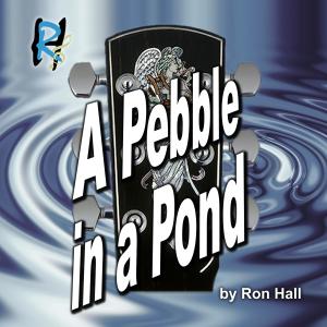 Album A Pebble In A Pond from Ron Hall