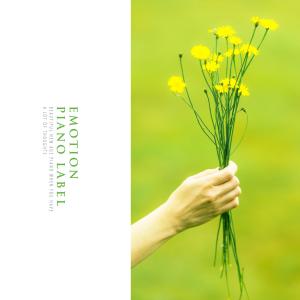 Album Beautiful New Age Piano When You Have A Lot Of Thoughts oleh Various Artists