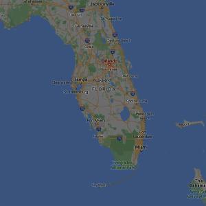 Album ORLANDO (Explicit) from 