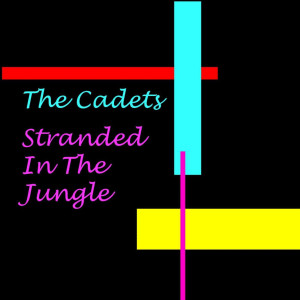 ดาวน์โหลดและฟังเพลง Why Did I Fall in Love - Unreleased Outtake พร้อมเนื้อเพลงจาก The Cadets