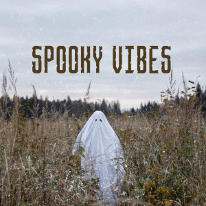 อัลบัม Spooky Vibes ศิลปิน Various Artists
