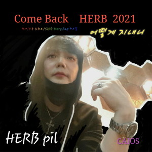 Album COME BACK HERB 2021 from 허브필