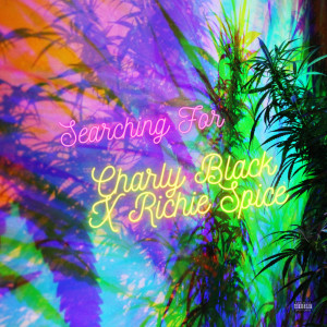 อัลบัม Searching For (Explicit) ศิลปิน Charly Black