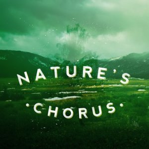 Nature Sound Collection的專輯Nature's Chorus