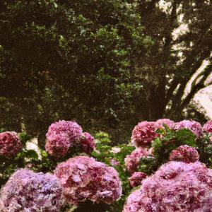 收聽Joja的No me olvides歌詞歌曲