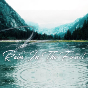 Listen to Rain In The Forest song with lyrics from Harmony Dreams