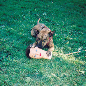 Album Cody (Explicit) from Joyce Manor