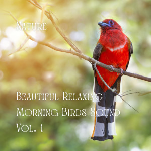 Nature Sounds for Sleep and Relaxation的專輯Nature: Beautiful Relaxing Morning Birds Sound Vol. 1
