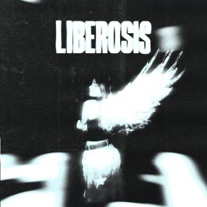 Rayben的專輯Liberosis