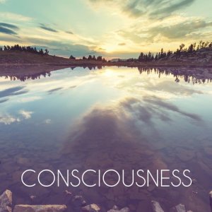 ดาวน์โหลดและฟังเพลง Conciousness พร้อมเนื้อเพลงจาก Ben Tavera King