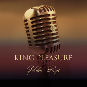 Dengarkan lagu No, Not Much nyanyian King Pleasure dengan lirik