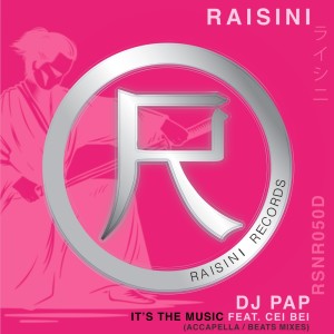 Album It's the Music (Accapella, Beats) from DJ Pap