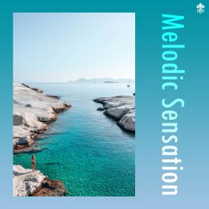 Album Melodic Sensation from Various