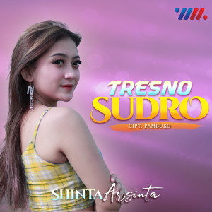 Listen to Tresno Sudro song with lyrics from Shinta Arsinta