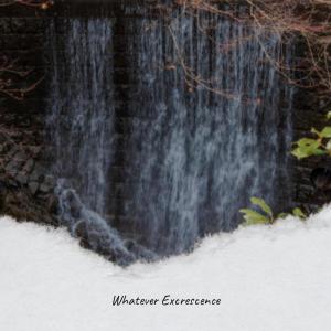 Listen to Whatever Excrescence song with lyrics from Kryn Sheli