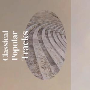 Album Classical Popular Tracks from Various