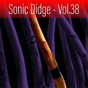 Gene Pierson的專輯Sonic Didge, Vol. 38