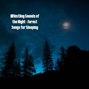 Whistling Sounds of the Night- Forest Songs for Sleeping