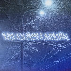 อัลบัม Trappin on Da Streets of Ekaterinburg ศิลปิน DJ KXLLA CXLT