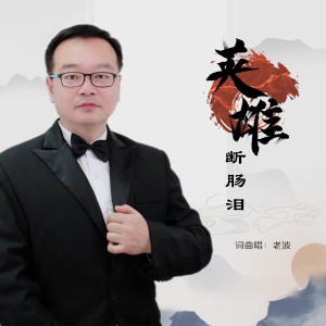 Album 英雄断肠泪 from 老波