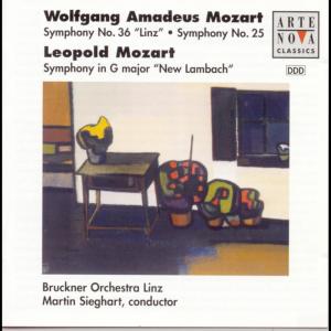 收聽Martin Sieghart的Symphony No. 25 G minor KV 183: Allegro con brio歌詞歌曲