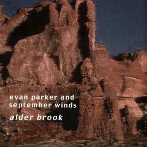 ดาวน์โหลดและฟังเพลง Poclabacla I (Anliker, Schmid, Senn) พร้อมเนื้อเพลงจาก Evan Parker and September Winds
