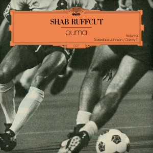 ดาวน์โหลดและฟังเพลง Puma (Danny T Remix) พร้อมเนื้อเพลงจาก Shab Ruffcut