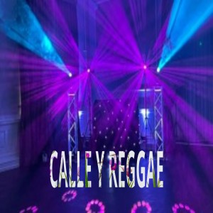 Album Calle y Reggae from DJ Sabrosura