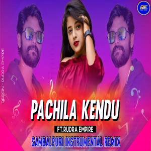 Album Pachila Kendu from 