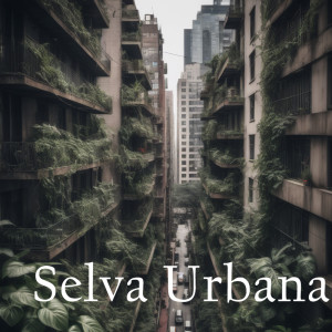 Listen to Selva Urbana (Live) song with lyrics from Versix