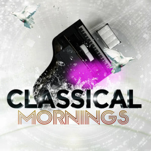 收聽Classical Morning的Use Somebody歌詞歌曲
