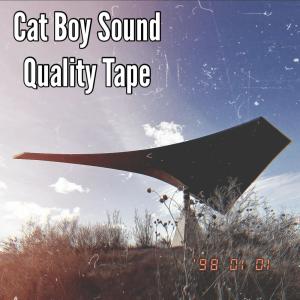 收聽Cat Boy Sound的Something Heavy Pt. 1 (feat. Machado Mijiga & BrandonLee Cierley)歌詞歌曲