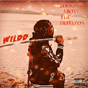 Listen to Looking Beyond (Outro) song with lyrics from Wildd