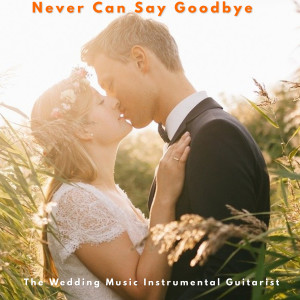 The Wedding Music Instrumental Guitarist的专辑Never Can Say Goodbye
